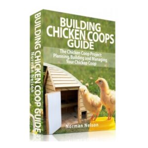 building a cheap chicken coop